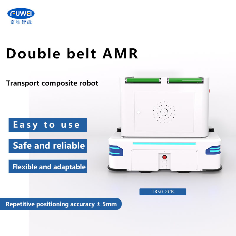 TR50 - robot di trasferimento da 2 cb: inaugurazione in una nuova era di produzione intelligente flessibile