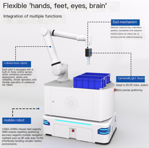 Fuwei Intelligent Robot Education Practice