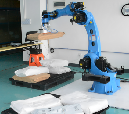 In che modo i robot domestici possono rispondere alle esigenze dell'aggiornamento industriale e diventare leader globali