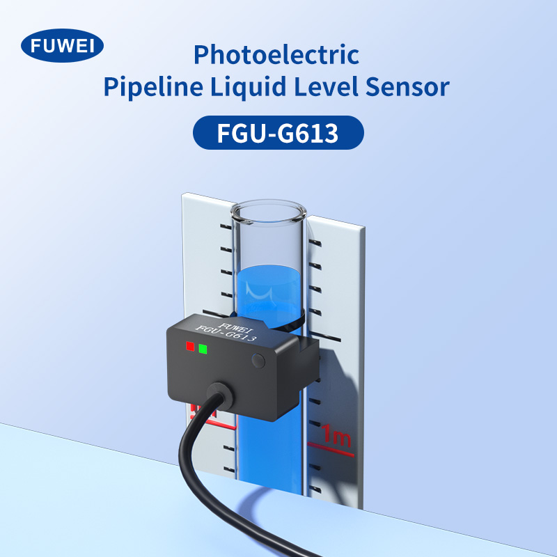 Sensore a livello di tubo FGU-G613N